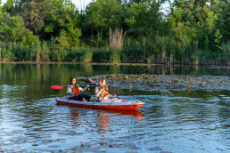 Parcul Natural Lagoo Snagov